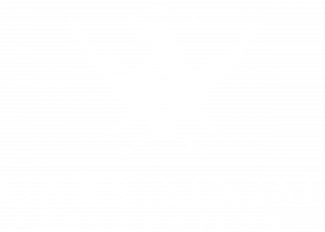 Gary Sinise Foundation